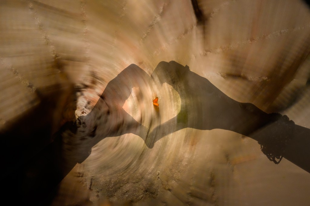 Vikten av en värmande&nbsp;hand