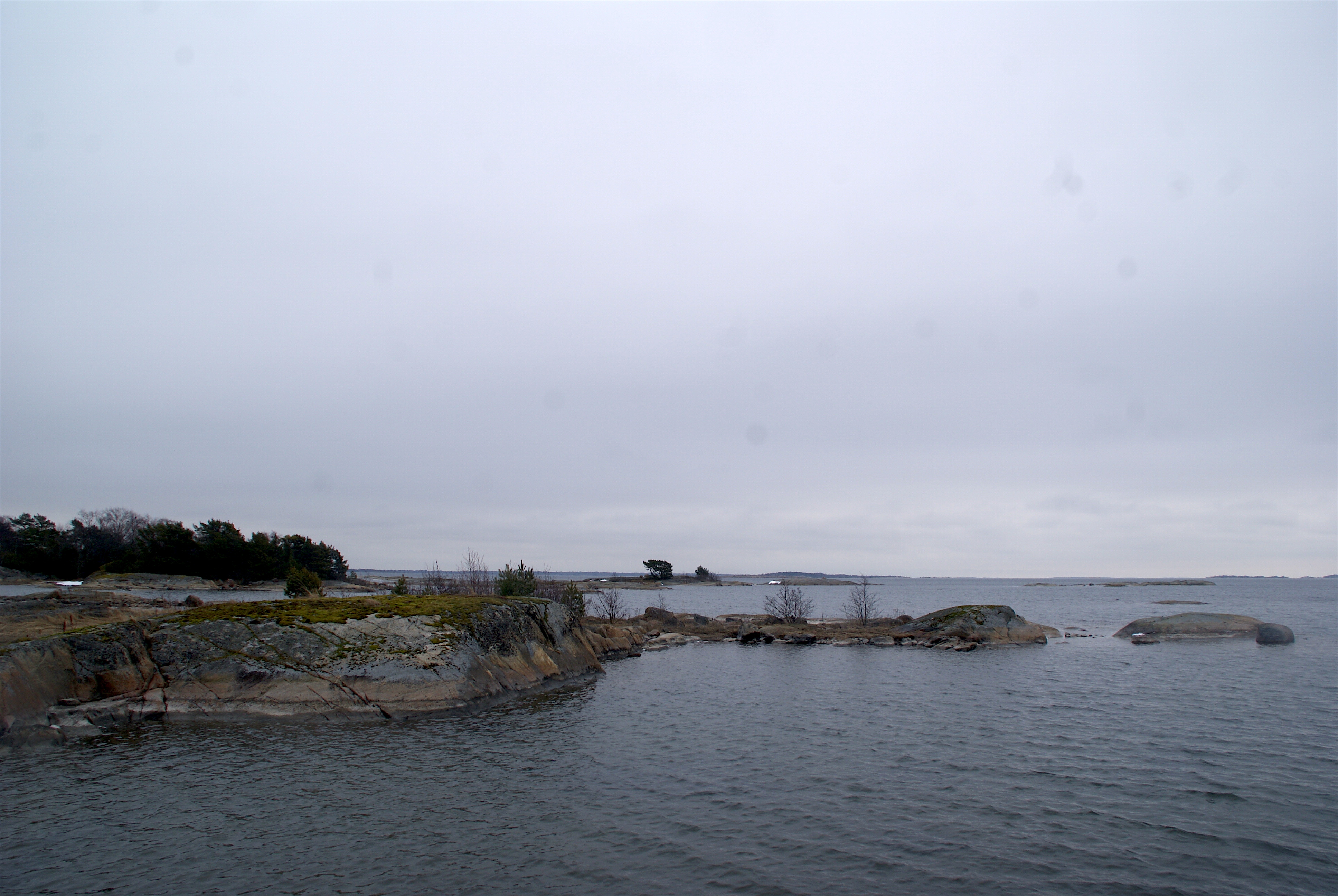 SONY DSC