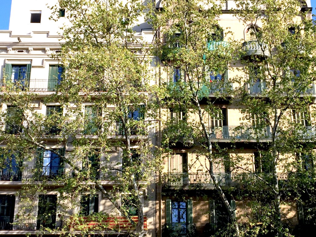 Senaste tiden genom&nbsp;mobilen