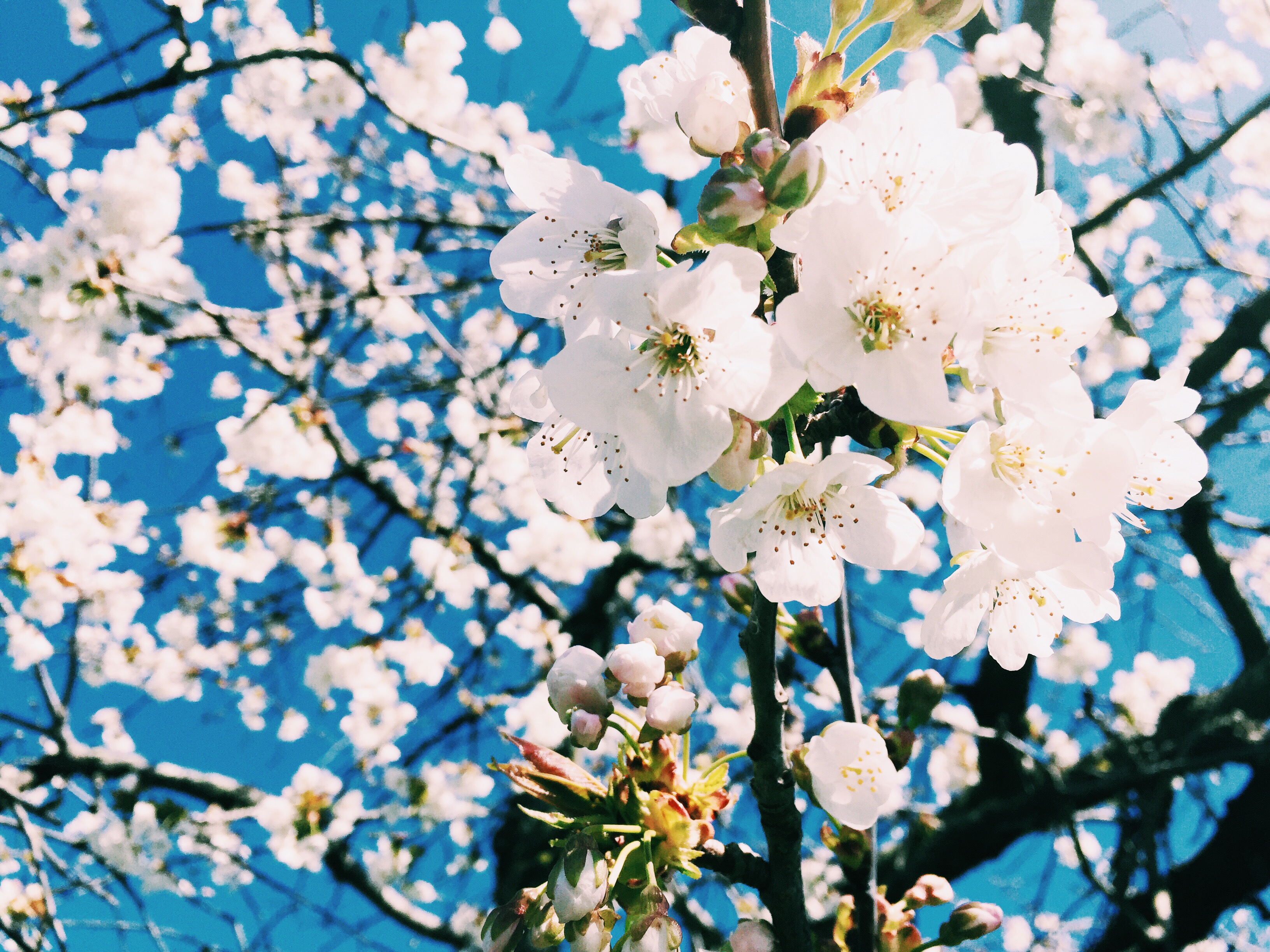 Processed with VSCO with c1 preset