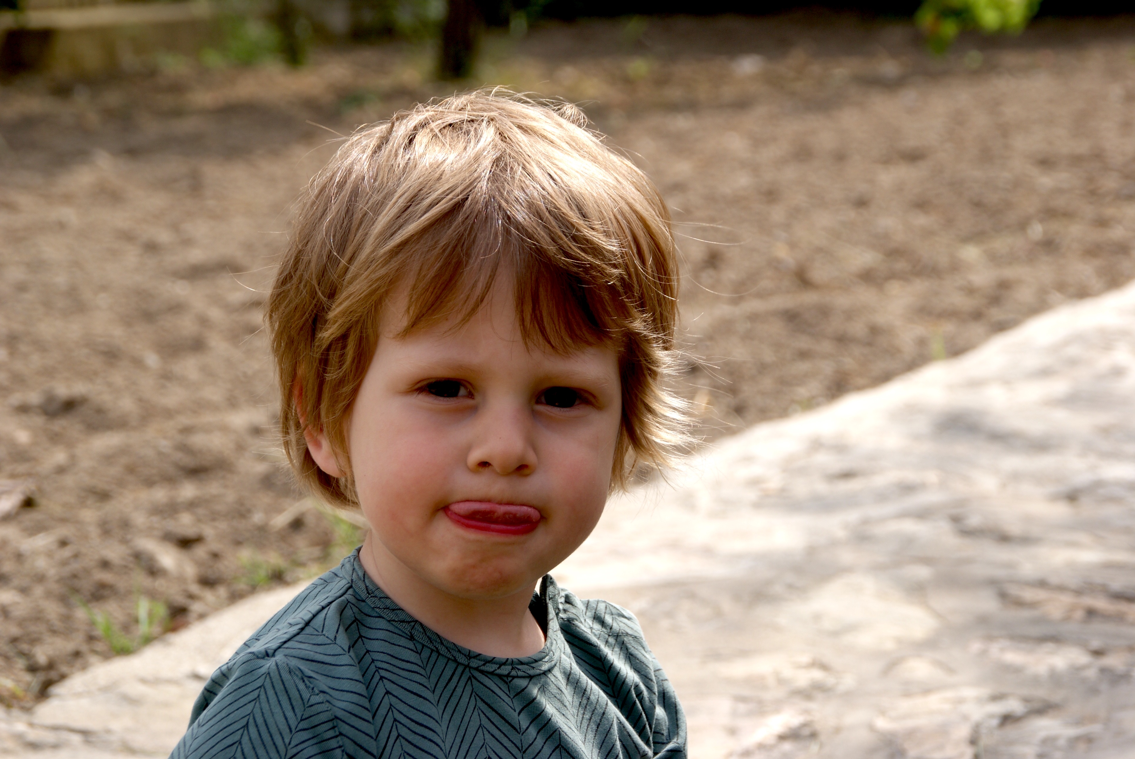 SONY DSC