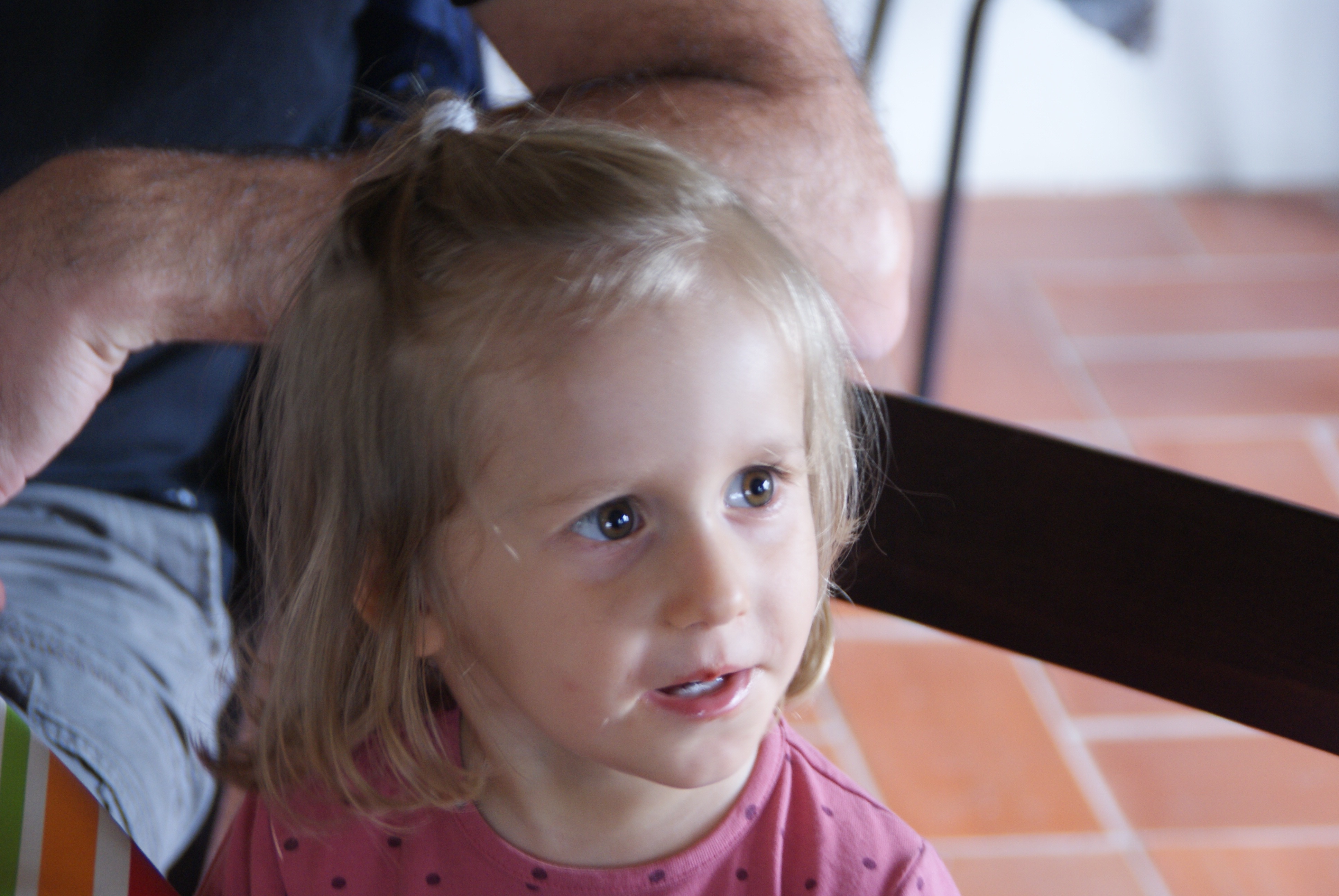 SONY DSC