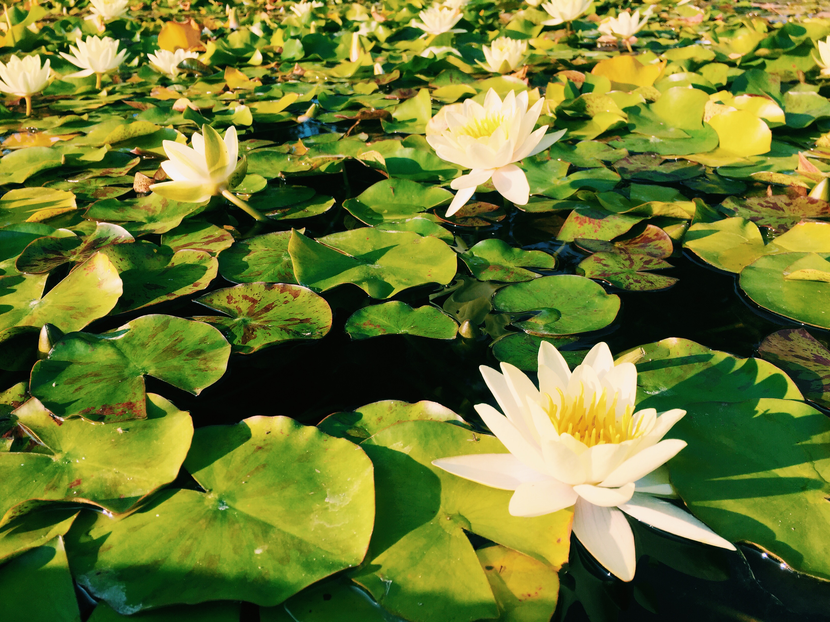 Processed with VSCO with c1 preset