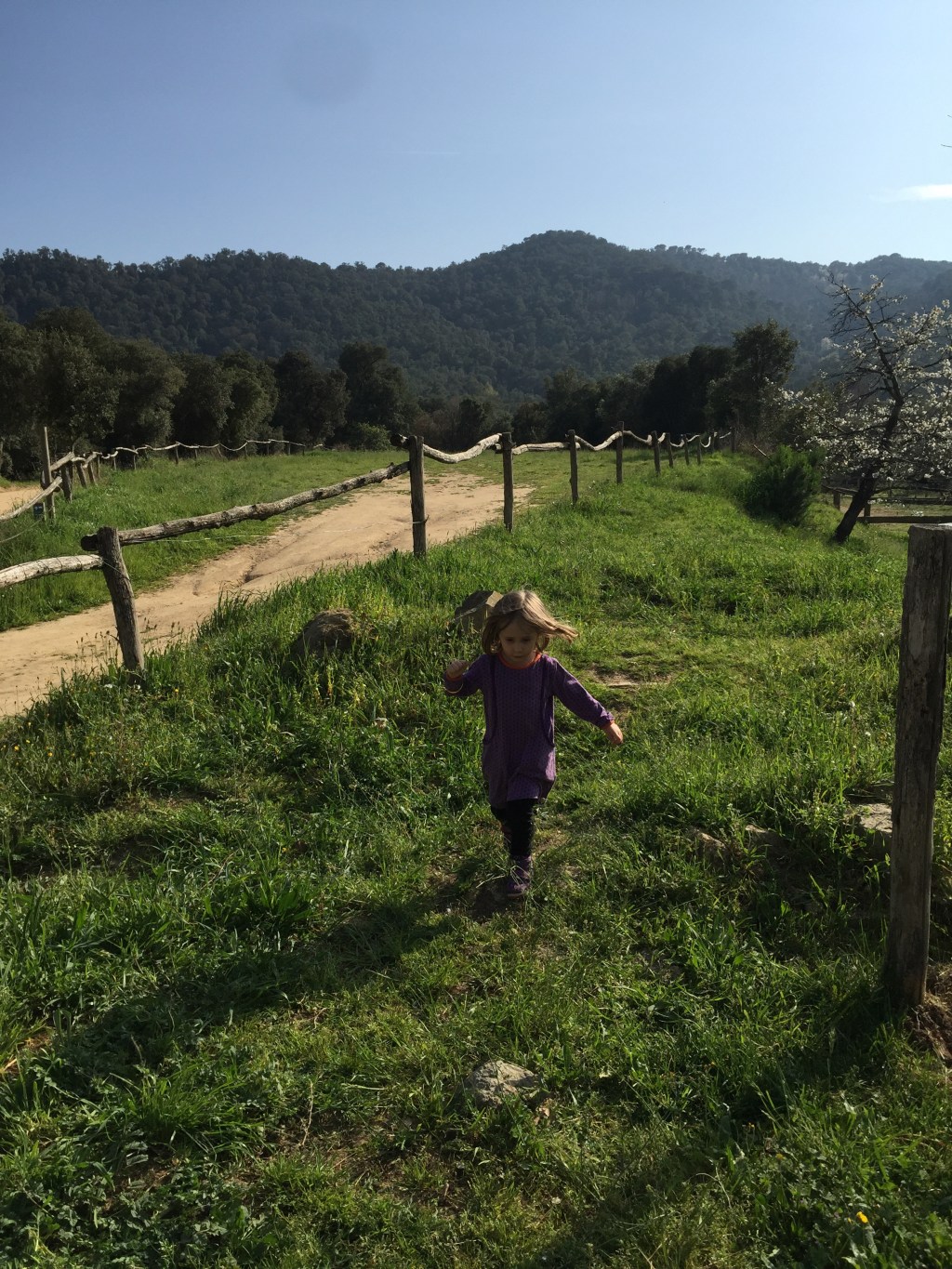 Två filmer från två söndagar